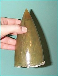 cirrus 1 nosecone